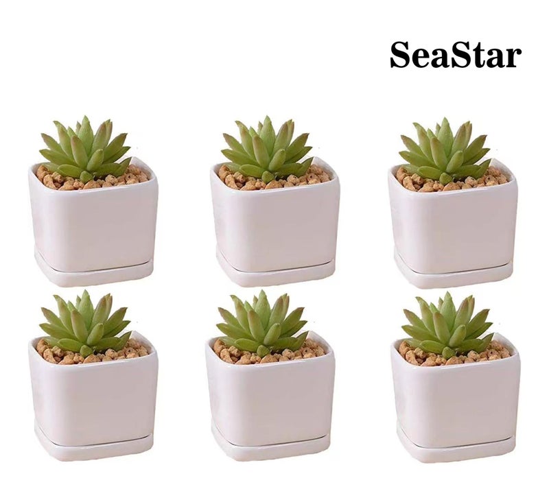 SeaStar Ceramic Succulent Mini Planter Pot,Mini 6 Set 2x1.65x2inch Square Modern Minimalist White/Window Box with Saucer for Office,Desk,House Balcony Landscape - Image 5